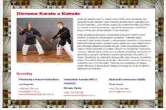 Karate-a-Kobudo-2