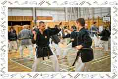 Okinawa-Karate-2